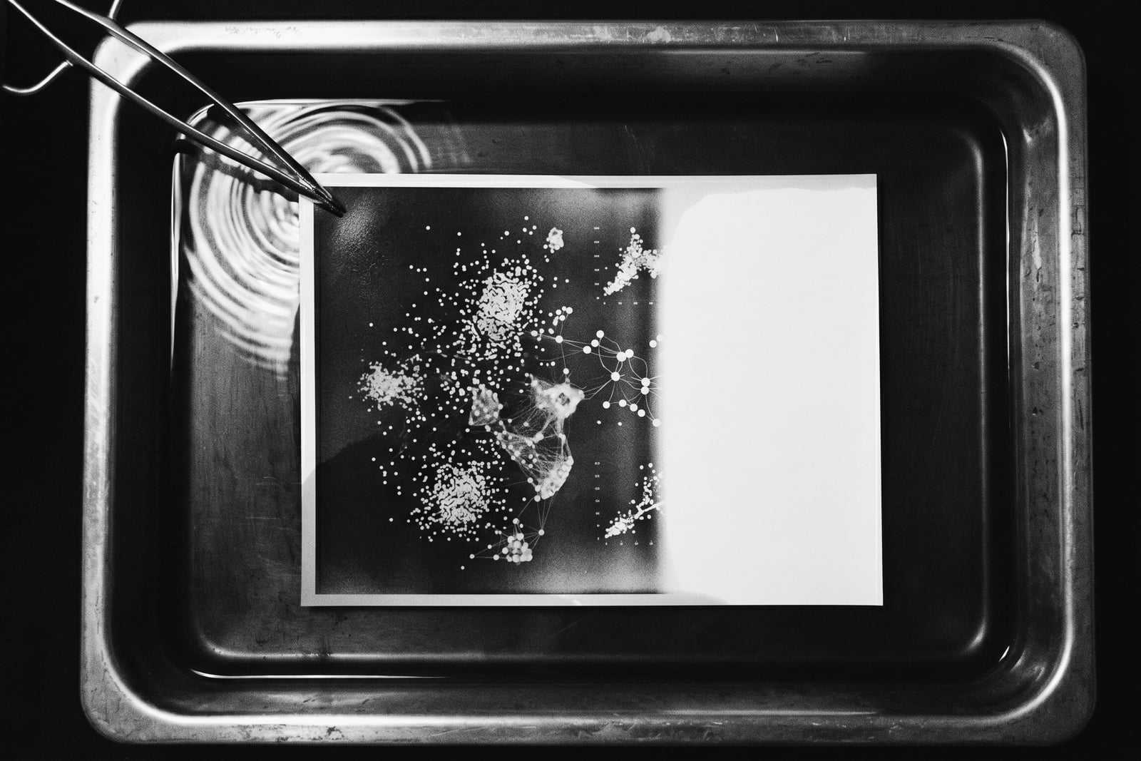 Un tirage photographique dans son bain de révélateur : un graphe de points reliés par des lignes y apparaît progressivement, encore à moitié latent sur le papier.